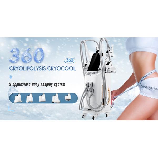 Fat Removal 360 cryo 5 handles Cryolipolysis machine 360 Cryolipolysis Slimming 4 cryo handles 4 cryo head