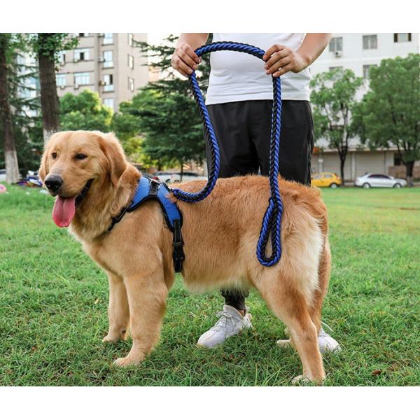 Waterproof Heavy Duty Retractable Dog Lead For Big Dogs Nylon