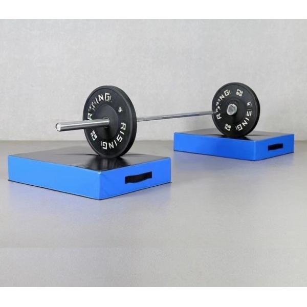 Gym Flooring Mat Barbell Drop Pads Weight Lifting Silencer Drop Pads Barbell Crash Cushion Pad