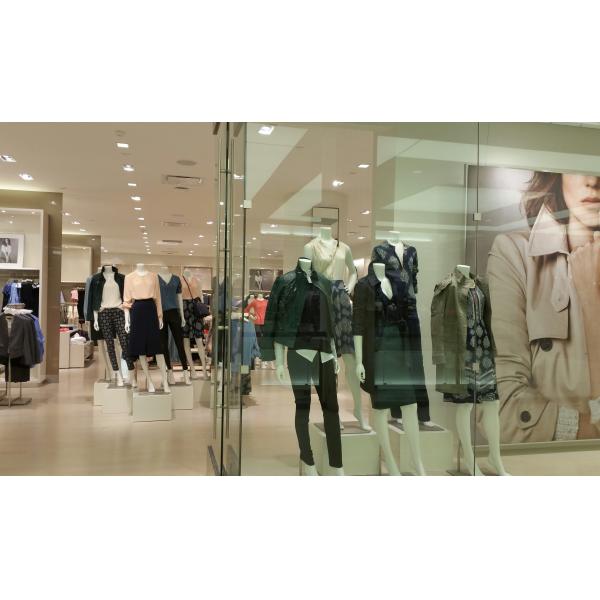 Серия IP54 слепимости MF анти- утопила СИД привела штуцеры регулируемое 10W фары