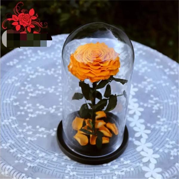 Preserved rose in glass terrariums with base for luxury gifts