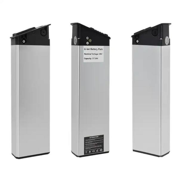 Высококачественный аккумулятор серебряной рыбы 48V 20ah Литий-ионный аккумулятор для электрического велосипеда 1000W