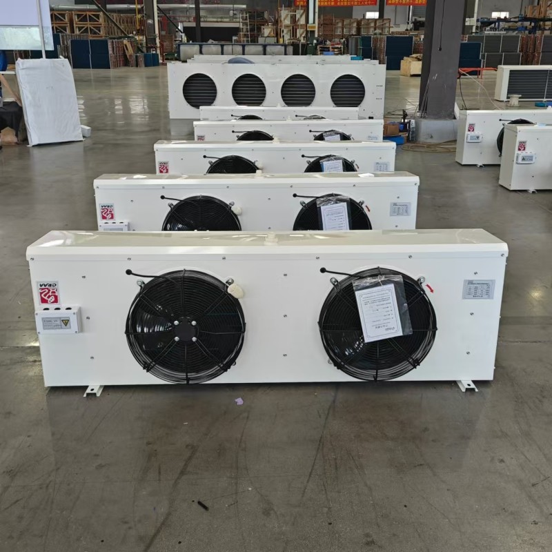 Space-saving DL40 Air Cooler for Medium-sized Food Cold Room