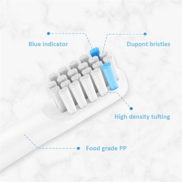 IPX7 Brosses à dents électriques sonores étanches à l'eau 25000VPM Fréquence SN301