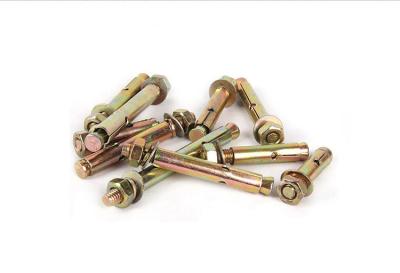 DIN Shield M10 Fixing Anchor Bolts