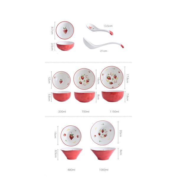 Savall 12 Piece Round Dinnerware Set FDA Ceramic Plates And Bowls