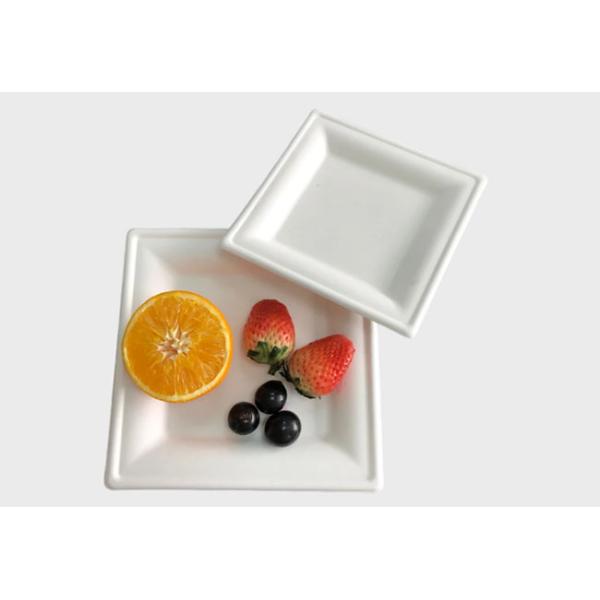 Disposable Dinnerware 10 Inch Square Sugarcane Pulp Plates