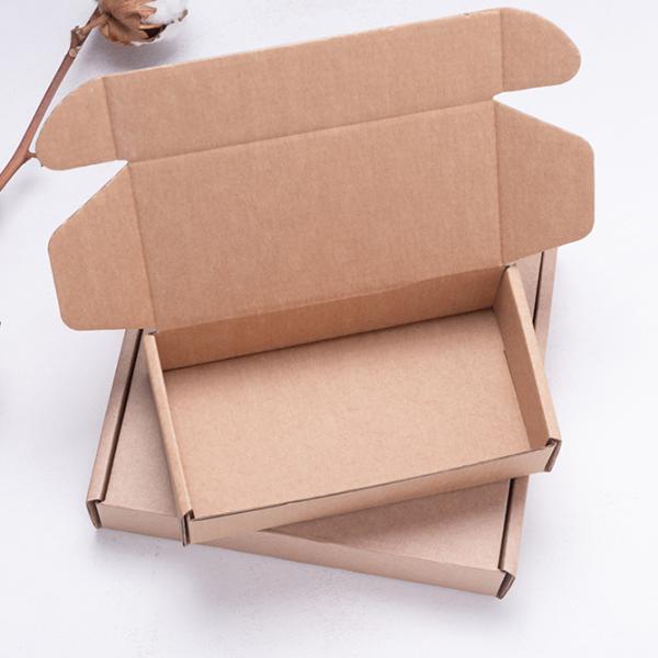Custom Order Accepted Brown Kraft Carton Box for Small Item Packaging and Shipping