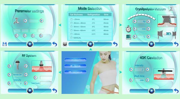 CE / FDA approved 5 cryo handles weight loss cool sculpting cryolipolysis machine