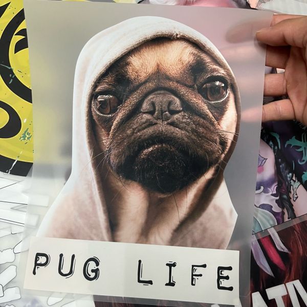 Customizable DTF Heat Transfer Stickers – Premium Quality, Ready To Press On Durable PET Film For T-Shirt Branding & Custom Design