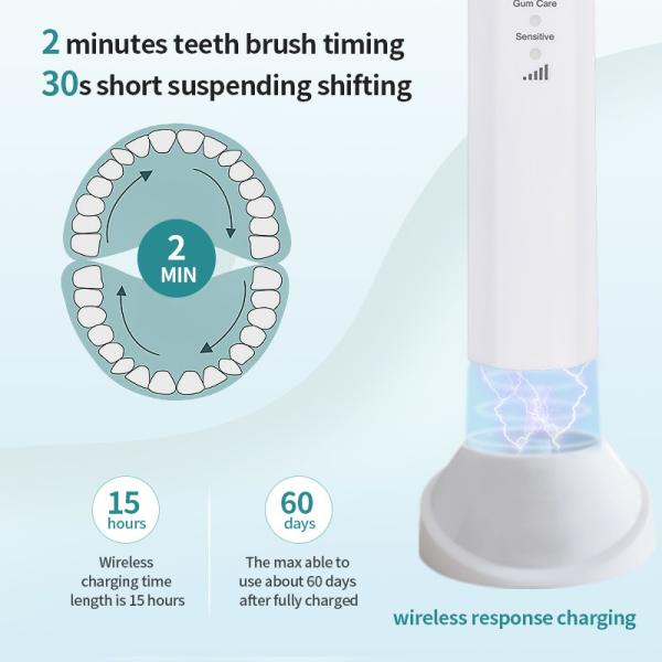 1200mAh Rechargeable Electric Toothbrush IPX7 Waterproof Multipurpose