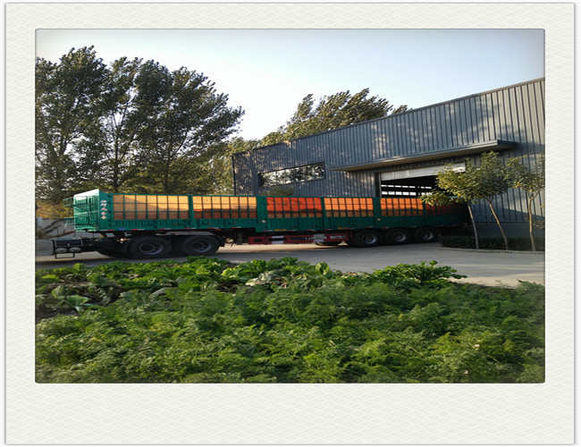 Nickel Chromium Stainless Steel Fiber Melt extracted SS316 For Refractories