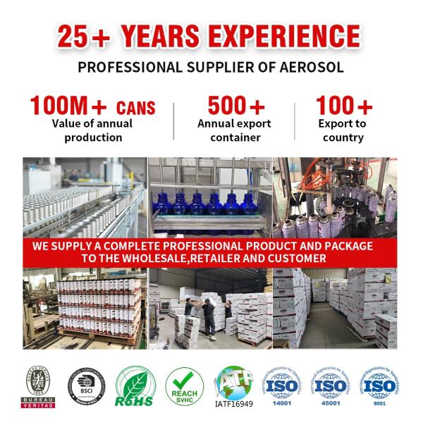 500ml Car Paint Nano Coating Hydrophobic Protection Spray