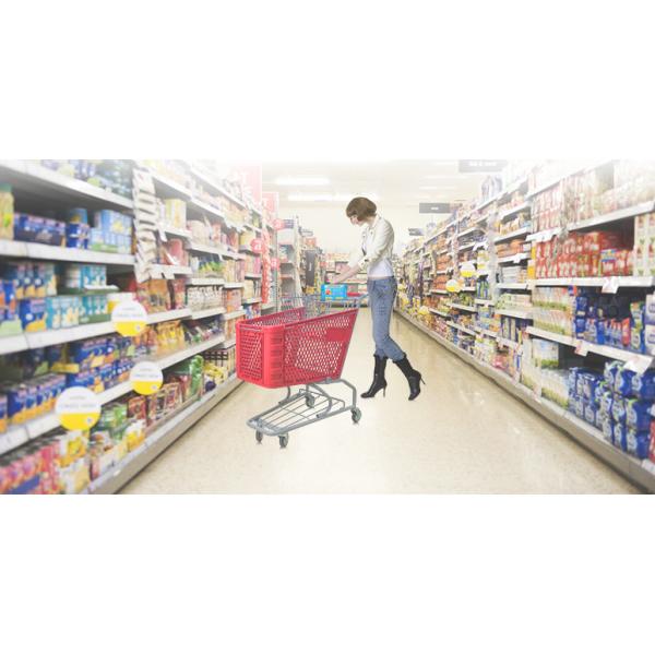 plastic trolley ,supermarket basket with wheels,plastic shopping trolley baskets