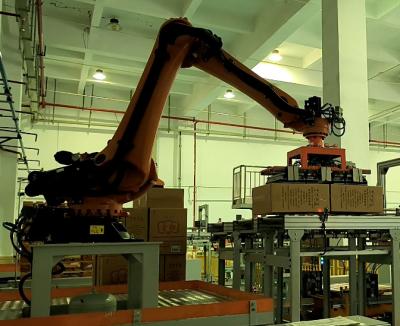 Palletizing Operations With Robot Pallet Stacking  Repeatability Combination