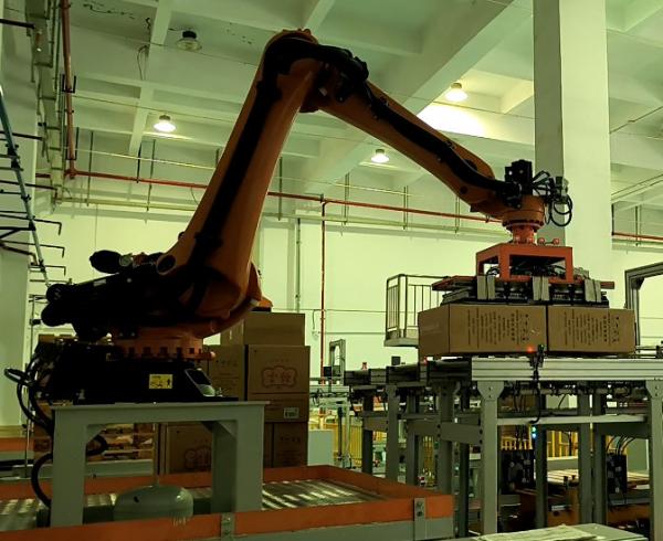 Palletizing Operations With Robot Pallet Stacking  Repeatability Combination