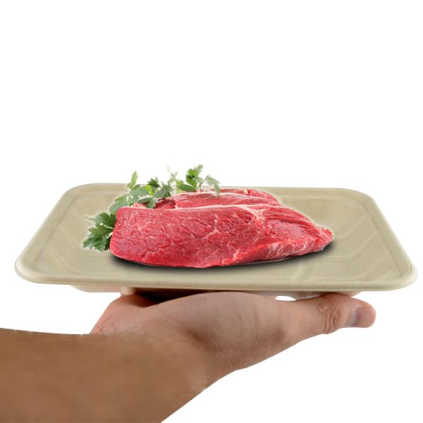 Sugarcane Bagasse Compostable Paper Food Tray 8*6inch  eco-friendly 100% biodegradable