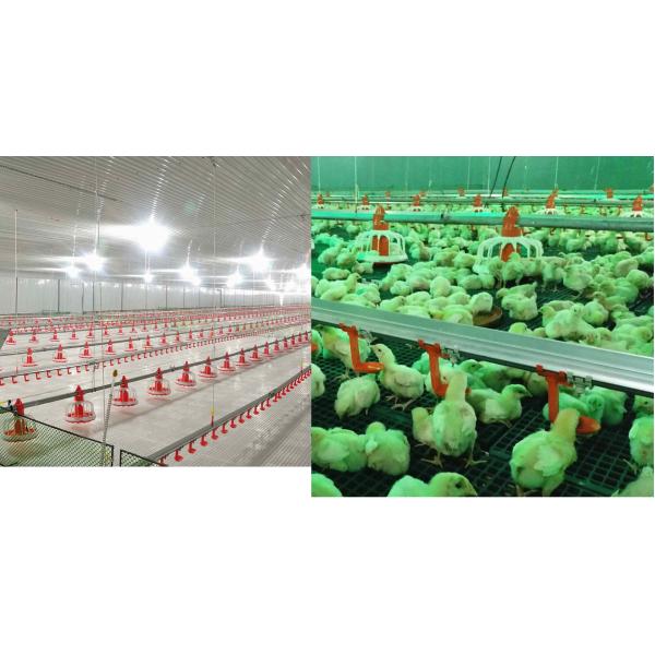 оборудование бройлера диаметра 45mm