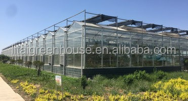 Hydroponic Greenhouse Strawberry Length 30-100m Suitable for Vegetable Fruits Flowers