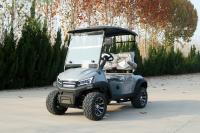 Confortable Grand siège 2 sièges électrique Custom Golf Cart Mobilité scooter à quatre roues pour tous les âges