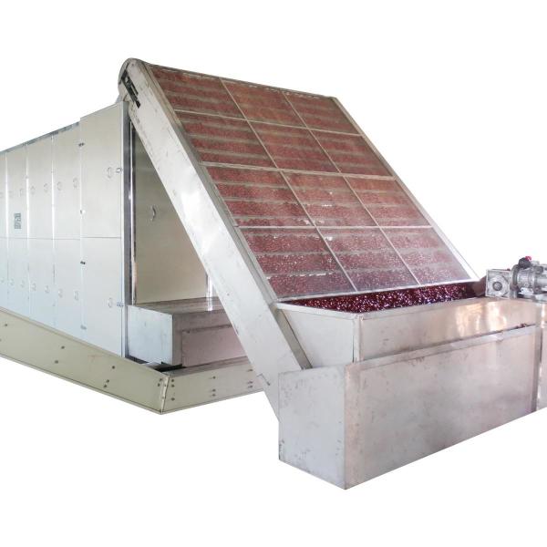 SGS ODM Fruit Belt Drying Equipment In Food Industry High Density Seamless Skeleton