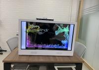 3 exhibición transparente echada a un lado de la pirámide del holograma del tacto 3D de la caja de la pantalla del holograma 3D