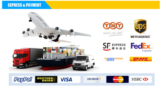 Axial Flow Fan 150mm x 150mm x 51mm with High Temperature AC Axial fan Dual Ball Bearing