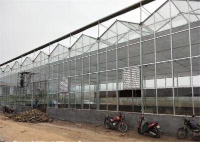 High Durability Agricultural Glass Greenhouse 3m - 7m Side Height For Scientific Research