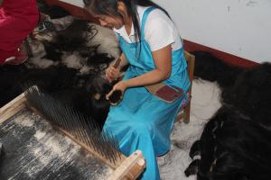 Guangzhou Newshine Human Hair Co.,Ltd