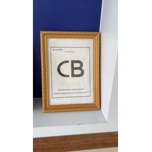 Suzhou Alton Electrical & Mechanical Industry Co., Ltd Certifications