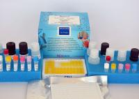 Zearalenone Toxin ELISA Test Kit Competitive Colorimetric High Cross Reactivity