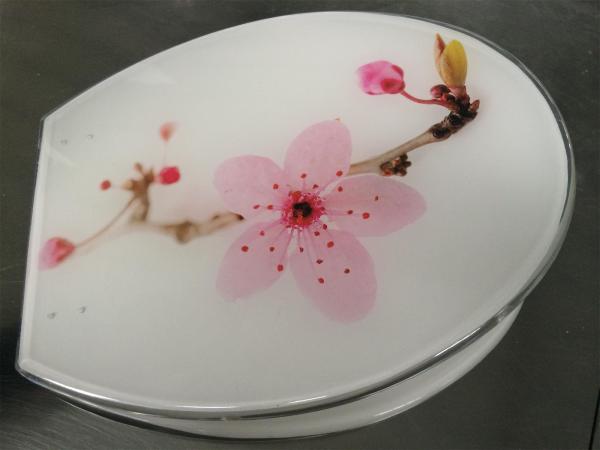 decoration toilet seat,color,polyresin,plastic,solid white,sanitary toilet seat cover