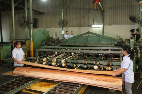 Доска переклейки вычуры ранга E0 подгоняла вычисляемую облицовку переклейки