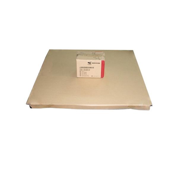 Steel Floor Weighing Scales With Ramp 2000lb Industrial Electronic Customized Color
