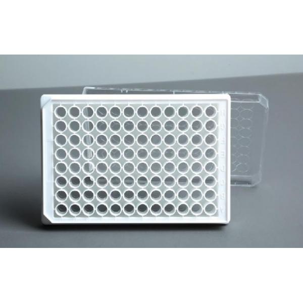 White 0.2ml 96 Well Pcr Plate Non Skirted PCR Plate