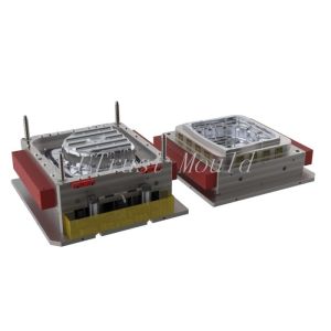 Custom LFTD Compression Mold