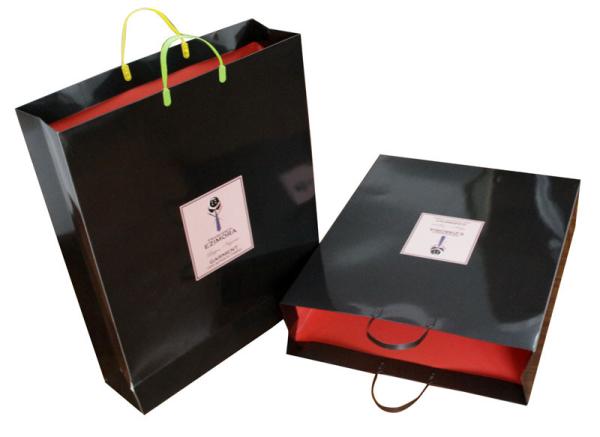 Eco-friendly 250gsm Paper Carrier Bag Artpaper Matt Coated PVC Handle