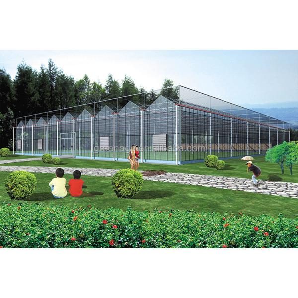 Glass Covered Industrial Greenhouse with 3.73-7.73m Roof Height and Glass Panels