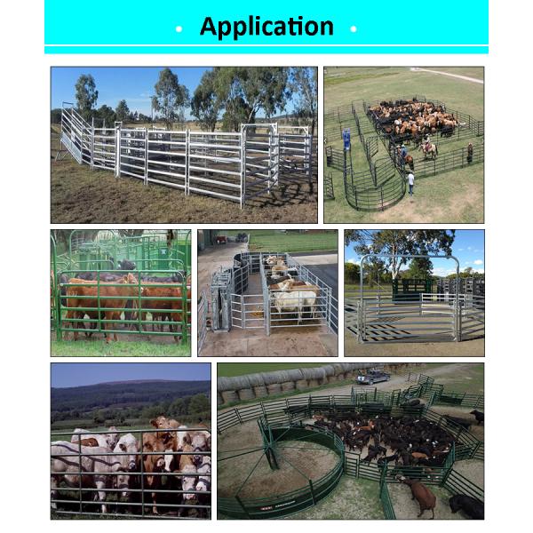 Панели двора сельскохозяйственного оборудования двора фермы портативные гальванизировали панели поголовья Austrlia