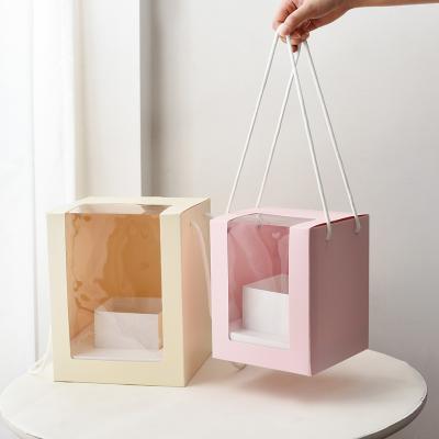 Eternal Blooms Cardboard Display Boxes Transparent  Flower Windowed Cake Boxes