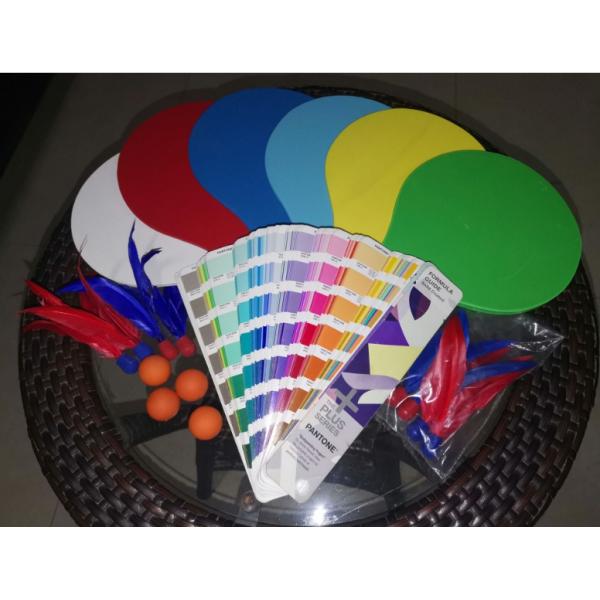 Customized Logo Colored Wooden Beach Paddle Ball Set for Training High Quality Beach Racket