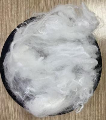 Polytrimethylene Tereph Thalate Fiber PTT + PET Fiber 13D