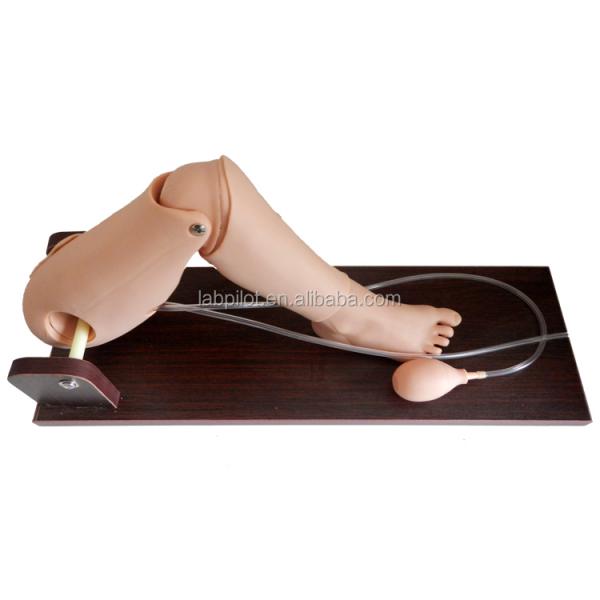 Convenient Child Bone Marrow Puncture and Femoral Venipuncture Simulator for Training