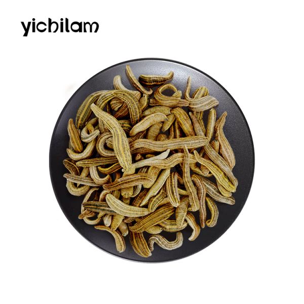 Natural Dried Hirudo Nipponia Leeches Food Grade For Therapeutic Applications