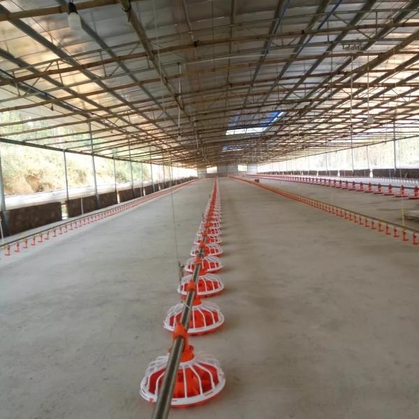 14 Grid 16 Grid Poultry Farm Equipment Feeding Line For Chicken
