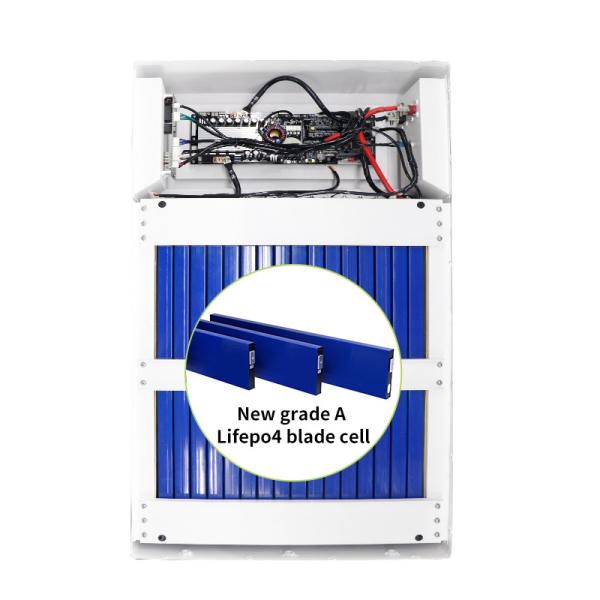 Doméstico 48V Bateria LiFePo4 montada na parede 200ah 100ah Bateria solar de lítio 10kwh