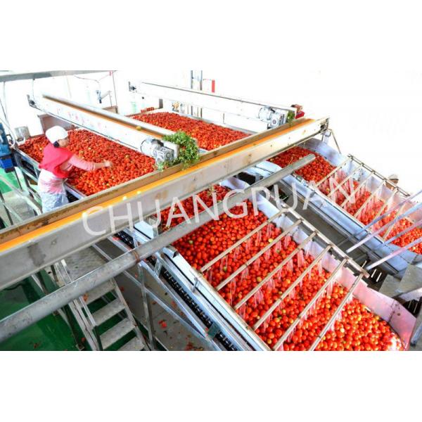 Efficient Stainless Steel Tomato Sauce Processing Equipment with Automatic Filling