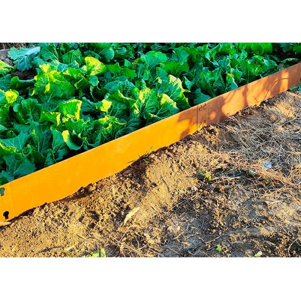 ISO Lawn Edging Corten 100mm Garden Metal Ornaments Powder Coated
