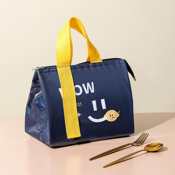 Accepable OEM/ODM Waterproof Soft Thermal Lunch Cooler Bag for Custom Printed Portable
