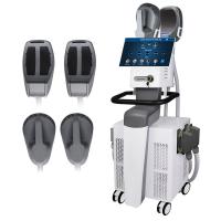 RF Ems sculptant la machine de réduction de cellulite corps de forme physique de 13 Tesla amincissant le poussoir de bout